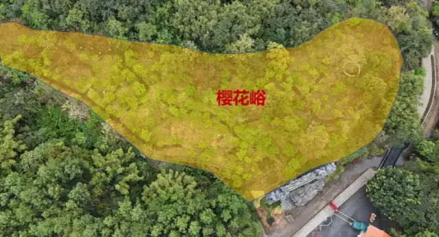 以上为樱花谷区域图