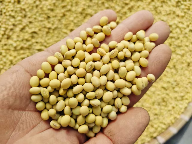 南方农村报 王富迪 拍摄