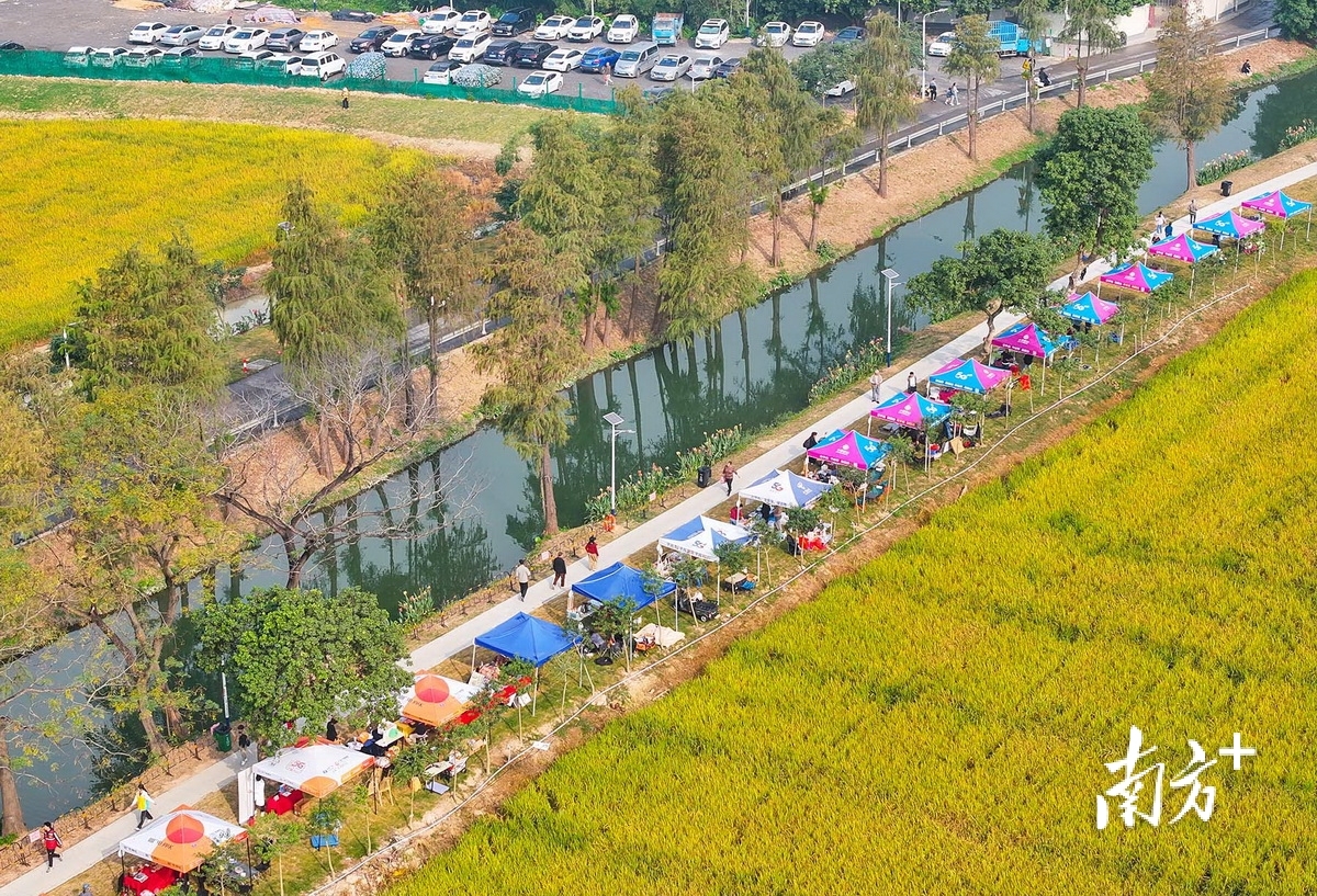 联富社区濠头涌畔。南方+ 叶志文 拍摄 联富社区濠头涌畔。南方+ 叶志文 拍摄