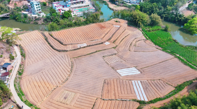 南方农村报 王富迪 拍摄