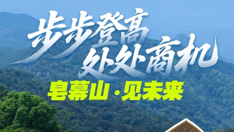 4A景区+50万客流！佛山环皂幕山12大项目，虚位以待中！