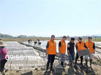 韶关农业科技特派员一线服务 科技助力春耕生产