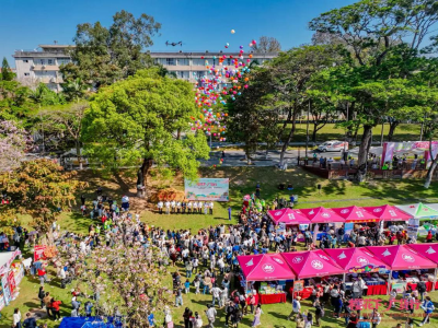走读江河 记录岭南⑤ | 校地合作搭台，“山珍”变“广货”！“阳山优品”为何能在湾区持续圈粉？