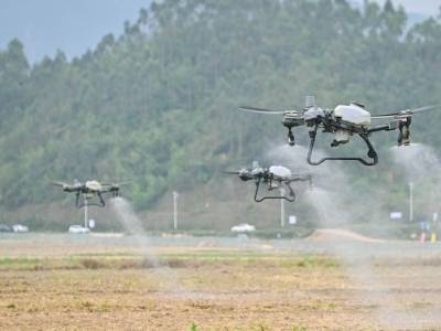 广东已进入春耕高峰期，早稻栽插面积达300万亩