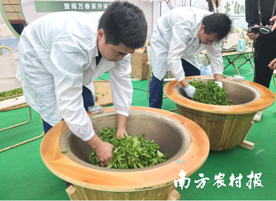 活动现场设置制茶体验区。