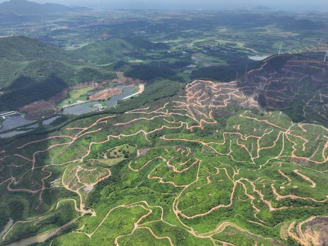 阳江市林分优化  