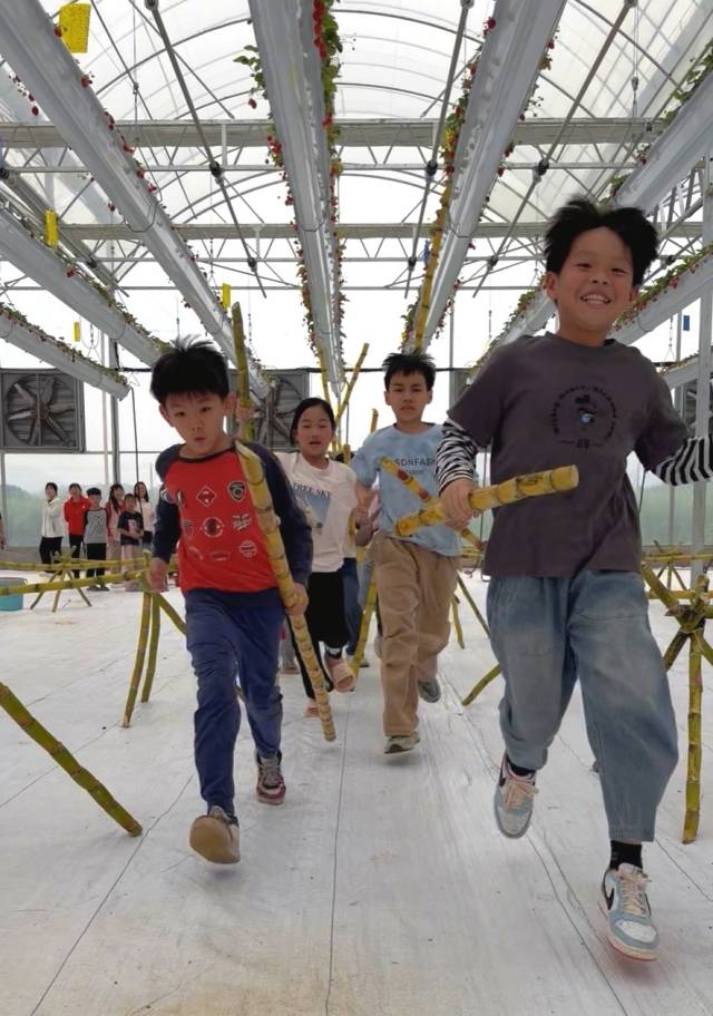 南方乡村振兴综合体禾作农场举办免费的甘蔗运动会助农宣传。（受访者供图）