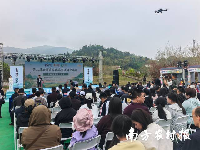第二届陆河茶文化系列活动开幕式暨南万春茶开采节启动仪式现场。