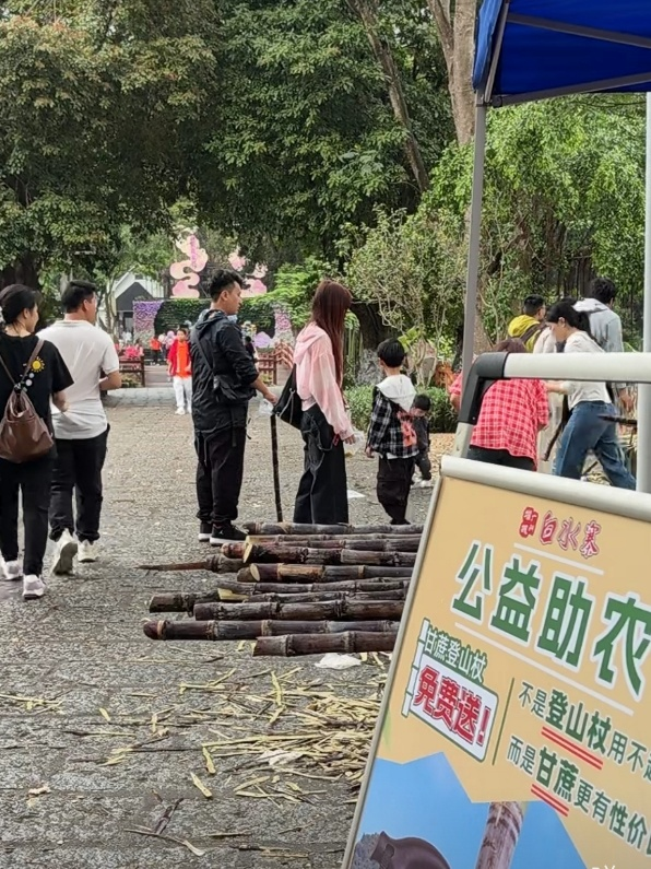 白水寨景区甘蔗助农公益行动现场。（图片来源于“白水寨景区”视频号）