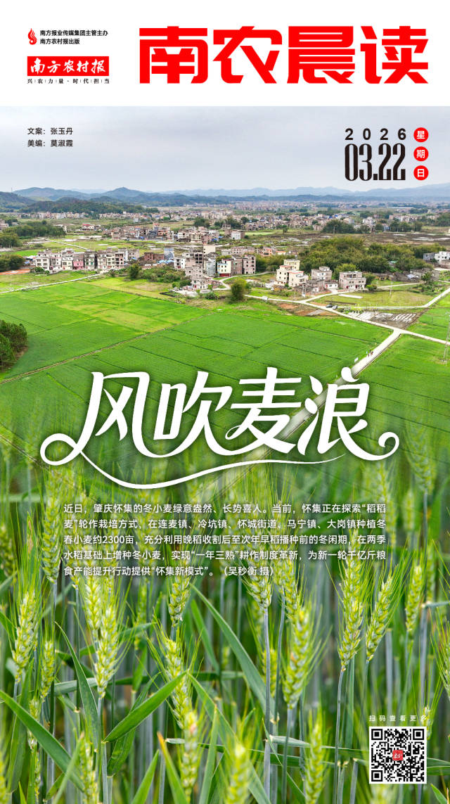 南方农村报 吴俊麒 制图