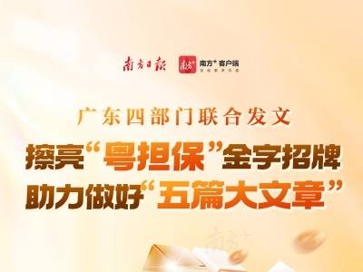 首创“粤担保”品牌！广东“政府性融资担保10条”发布｜一图读懂