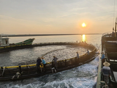 茂名滨海新区掀起“海上春耕”热潮 为海洋经济高质量发展注入新动能