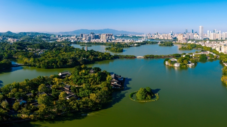 惠州发布3条观鸟路线，一路美景+美食全打卡