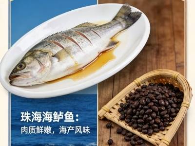 粤BA开打！珠海VS阳江双城争霸今晚上演