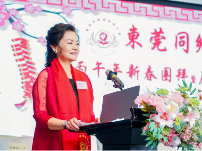 萧莫静璇：以乡情为纽带，搭建莞港妇女“连心桥”｜市妇女十六大·访谈