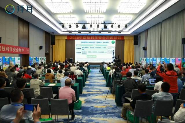 培训会现场 培训会现场