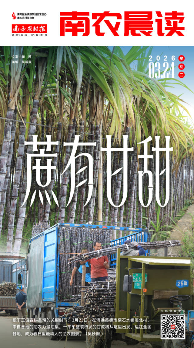 南方农村报 李嘉镓 制图