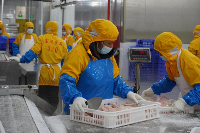 富沃食品加工厂内，工人们正有序作业（曾灿奎 摄）