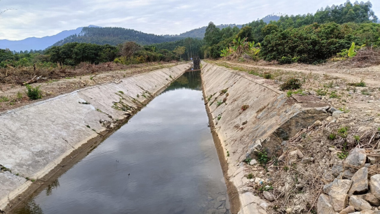 白盆珠上鉴陂灌区左干渠清淤清障工程实施后。