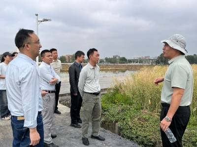 “稻—稻—油”模式助力区域粮油作物大面积单产提升