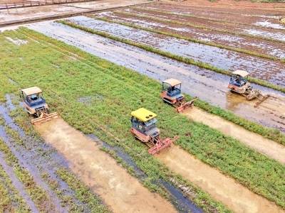 视觉｜梅州春耕，“上新”