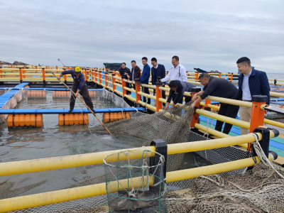 擦亮“粤担保”品牌！四部门联合印发行动方案，广东融资担保体系再升级