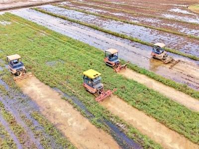 多图｜2026年梅州春耕现场会召开，下好粮食安全“先手棋”