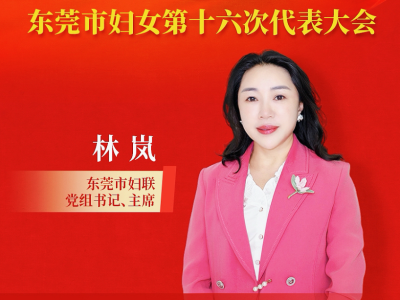林岚：在“智创优品、和美宜居”的蓝图中找准妇联工作的发力点｜市妇女十六大·访谈