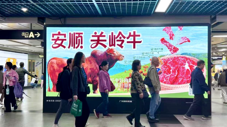 贵州安顺农文旅亮相广州地铁 粤黔协作点亮城市流动名片