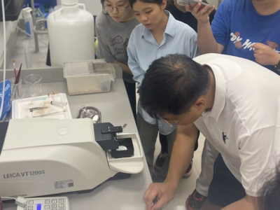 药物成瘾如何解？广州南方学院团队在国际麻醉学顶刊发表研究成果