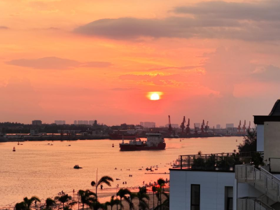 茂名滨海新区：绘就水清岸绿、人海和谐的“海上新城”