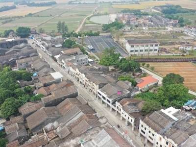 江门31个镇入选第三批省级“百千万工程”典型镇