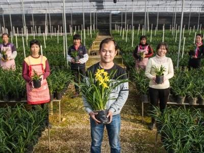 一盆广东兰如何“闯”世界？｜南方深读