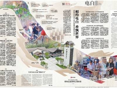 相约电白 香飘世界｜速览《南方日报·电白视窗》第257期