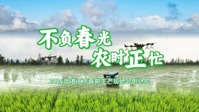 不负春光，农时正忙