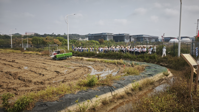 南方农村报 徐建杭 绘图