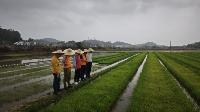 南方农村报 徐建杭 绘图