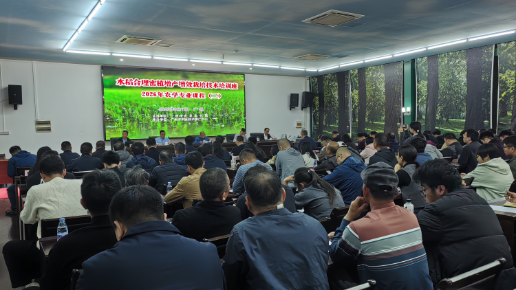 科技赋能春耕忙 良种良法到田头