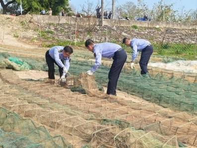 深化粤闽联动，这次联合执法现场拆解非法捕捞“三无”船舶54艘