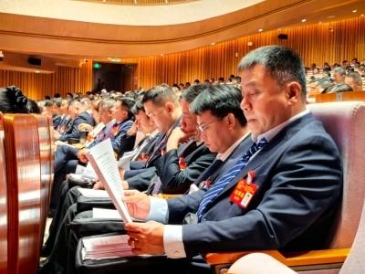 锻造“三型”机关，“南海雄师”勇当“行动派”｜南海两会