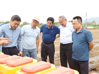 院士团队助阵，封开推广无人农机种植节水抗旱稻