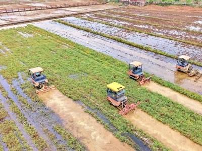 田间忙春耕，会场定良策——梅州推进农业现代化观察