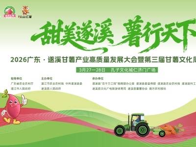 2026广东·遂溪甘薯产业高质量发展大会暨第三届甘薯文化周活动启动仪式