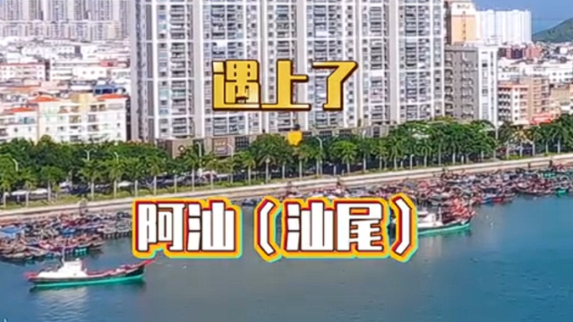 视频｜东莞队5条人vs汕尾队5条人