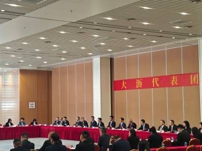 何为大沥之“大”？区委书记给了四句话｜南海两会