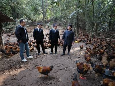 法院结案同比增长58.7％｜三水两会