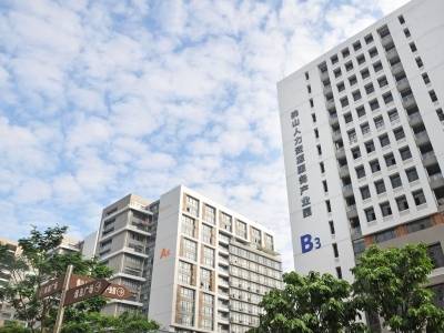 禅城两会｜打造辐射湾区服务全国的人力资源配置中心