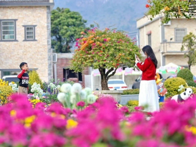 江门乡村正在上演一场“财富革命”