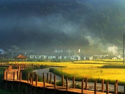 为家乡打call！韶关22镇入选第三批省级“百千万工程”典型镇