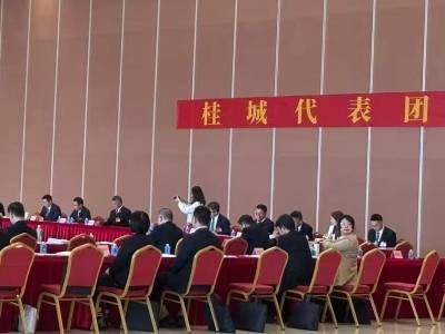 桂城代表为教育医疗民生提质支招丨南海两会